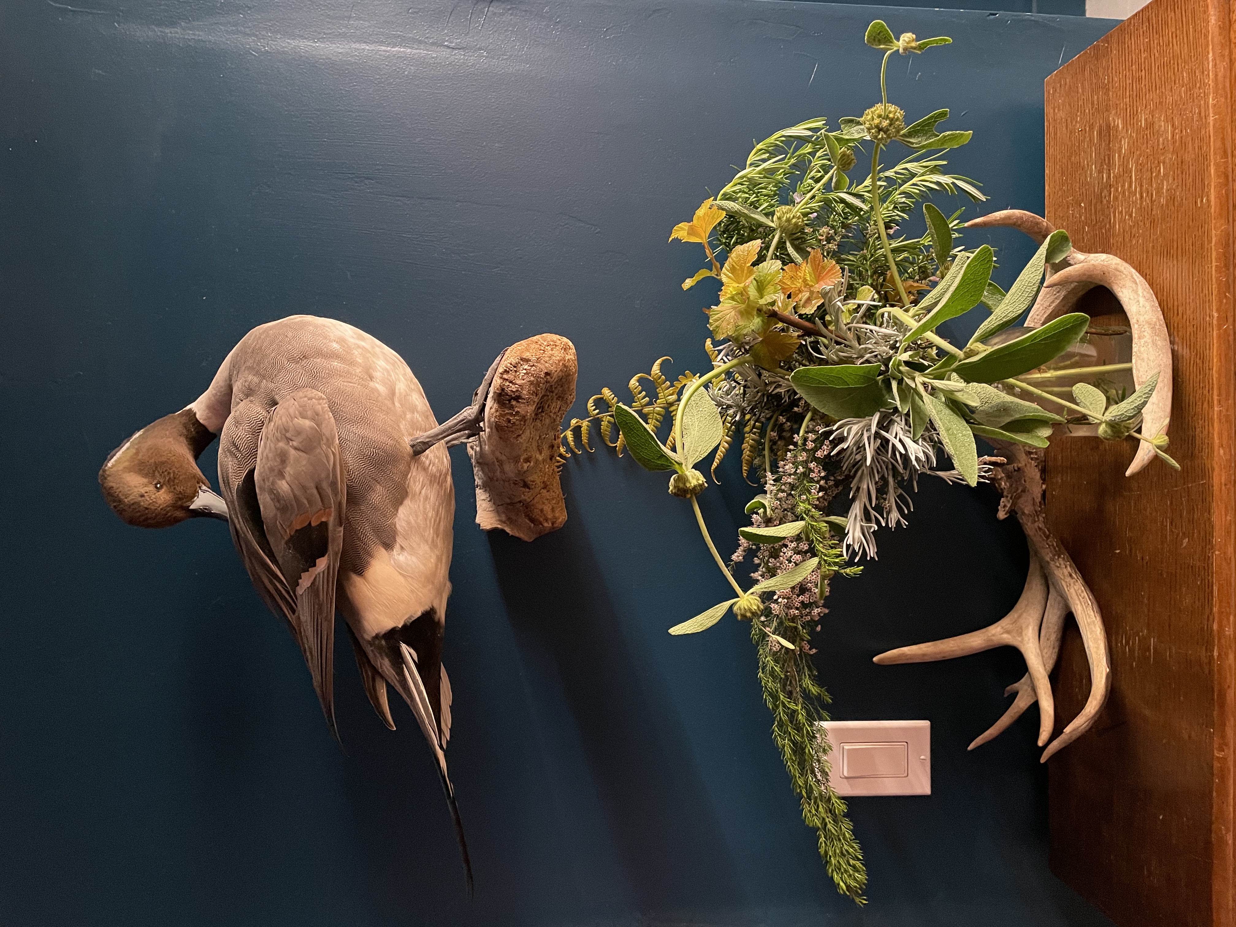 Flower arrangement