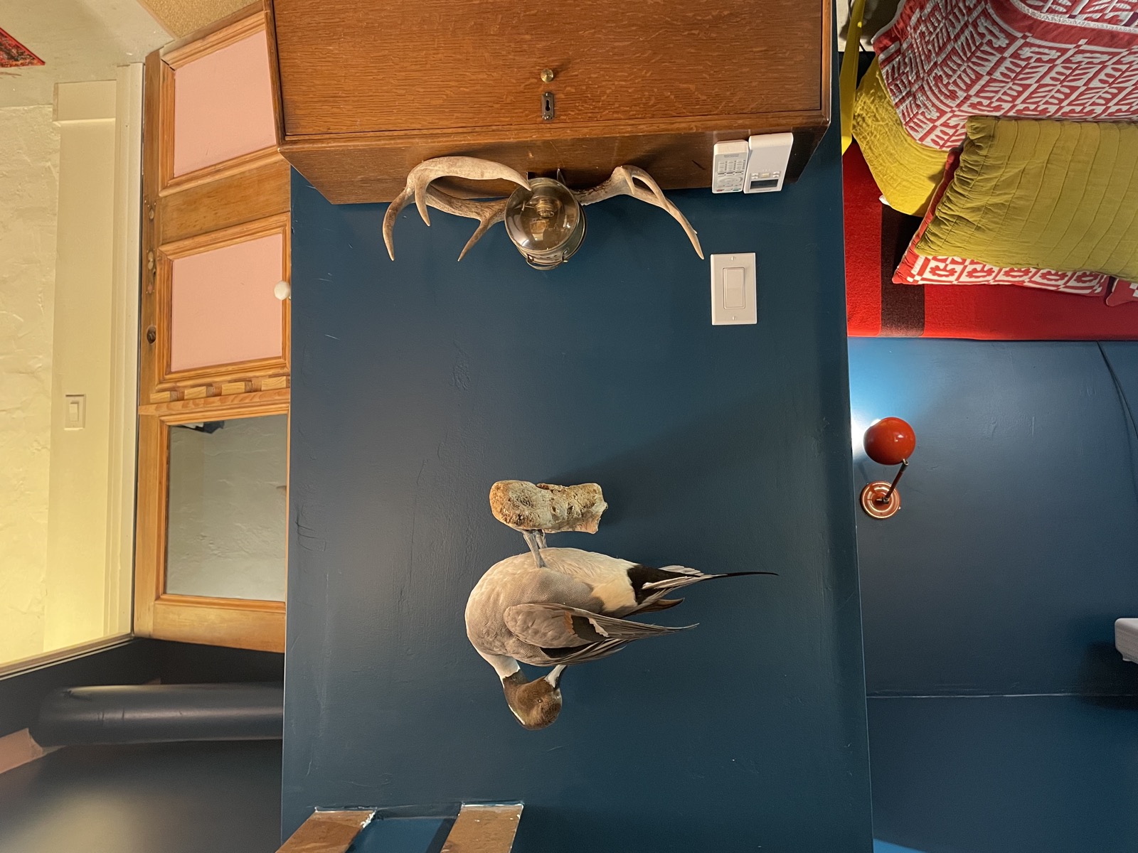 Secretary desk with mounted deer antlers and decorative duck